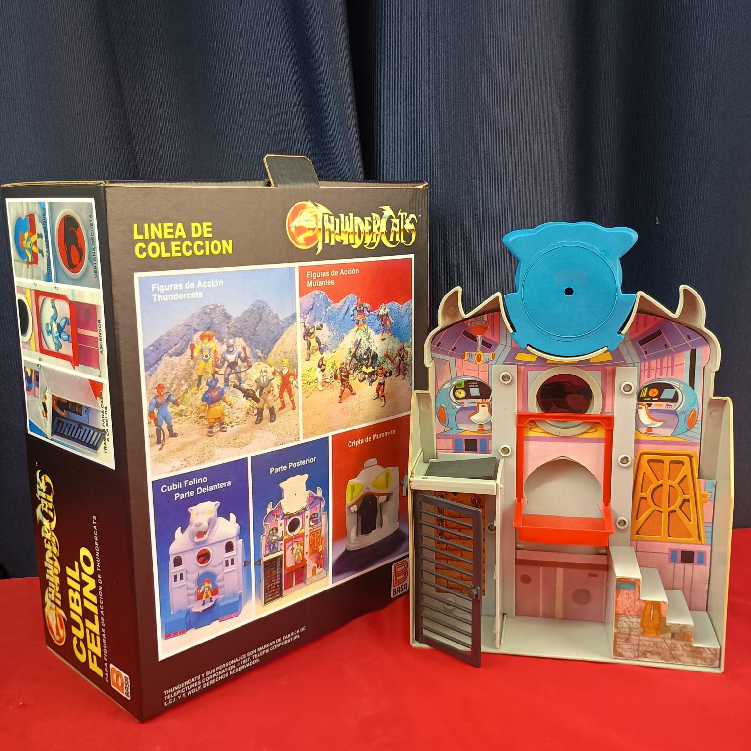 WhatsApp Image 2025-04-11 at 12.07.43 PM